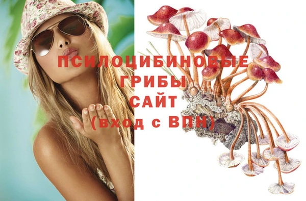 индика Магадан
