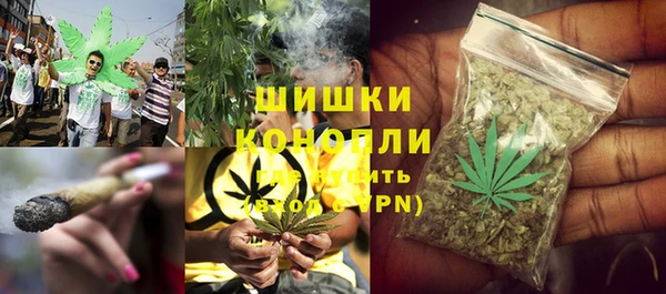 индика Магадан